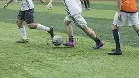 kaiyun·开云（中国）