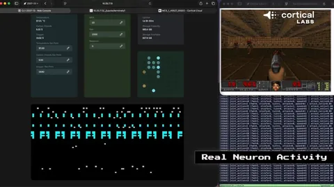 kaiyun·开云（中国）